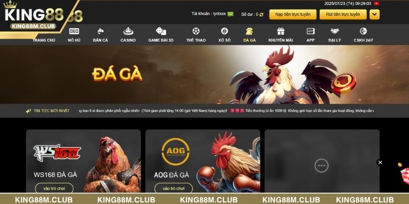 Chuyên mục đá gà phá trực tiếp từ các đấu trường nổi tiếng ở Philippines