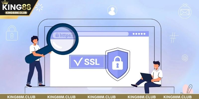 Dùng bảo mật SSL 256-bit để mã hóa toàn bộ dữ liệu trên hệ thống