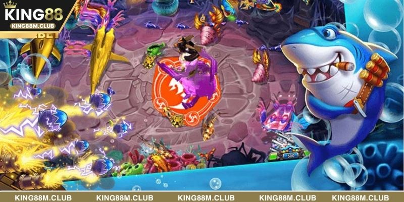 Sinh vật biển phong phú với điểm thưởng tối ưu, hấp dẫn